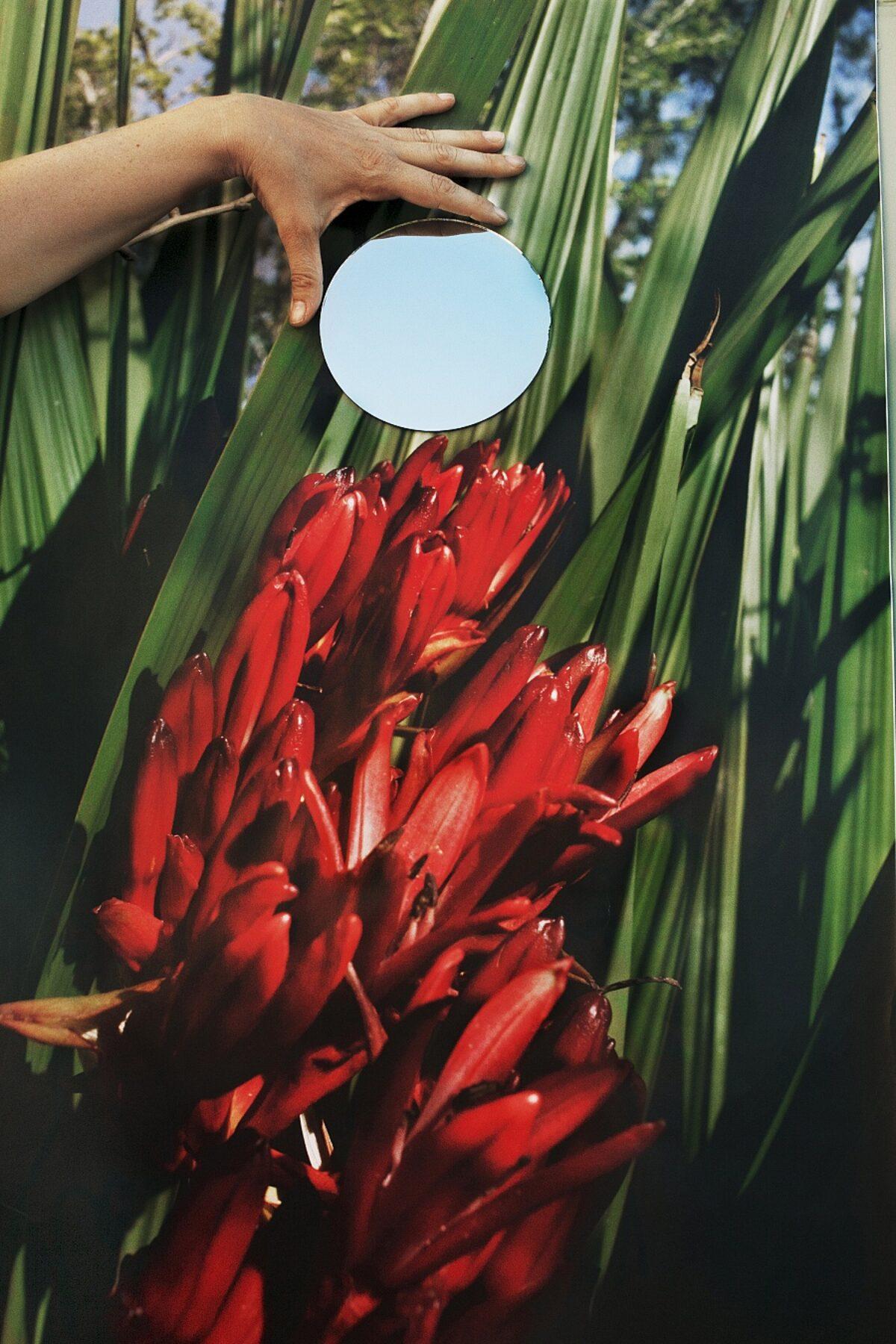 Journées photographiques de Bienne, 3.–26.5.2024 | Search